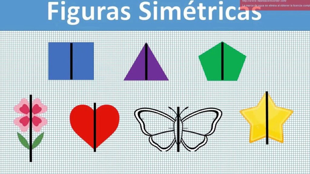 Descubre la Simetría: Tipos y Aplicaciones