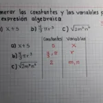 Descubre la diferencia entre Constante y Variable en matemáticas