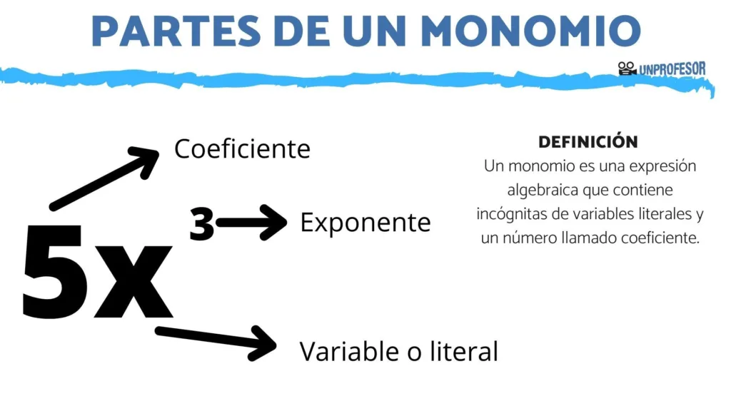 Descubre los Monomios: Componentes y Propiedades