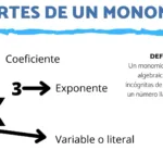 Descubre los Monomios: Componentes y Propiedades