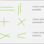 Explorando Tipos de Líneas y Sus Relaciones en Geometría