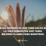 Reflexiones Profundas: 50 Frases Bonitas para Ordenar tus Pensamientos