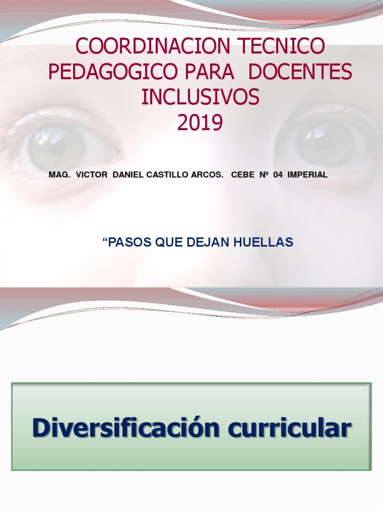 ¿Cuál es la definición del programa de diversificación curricular?