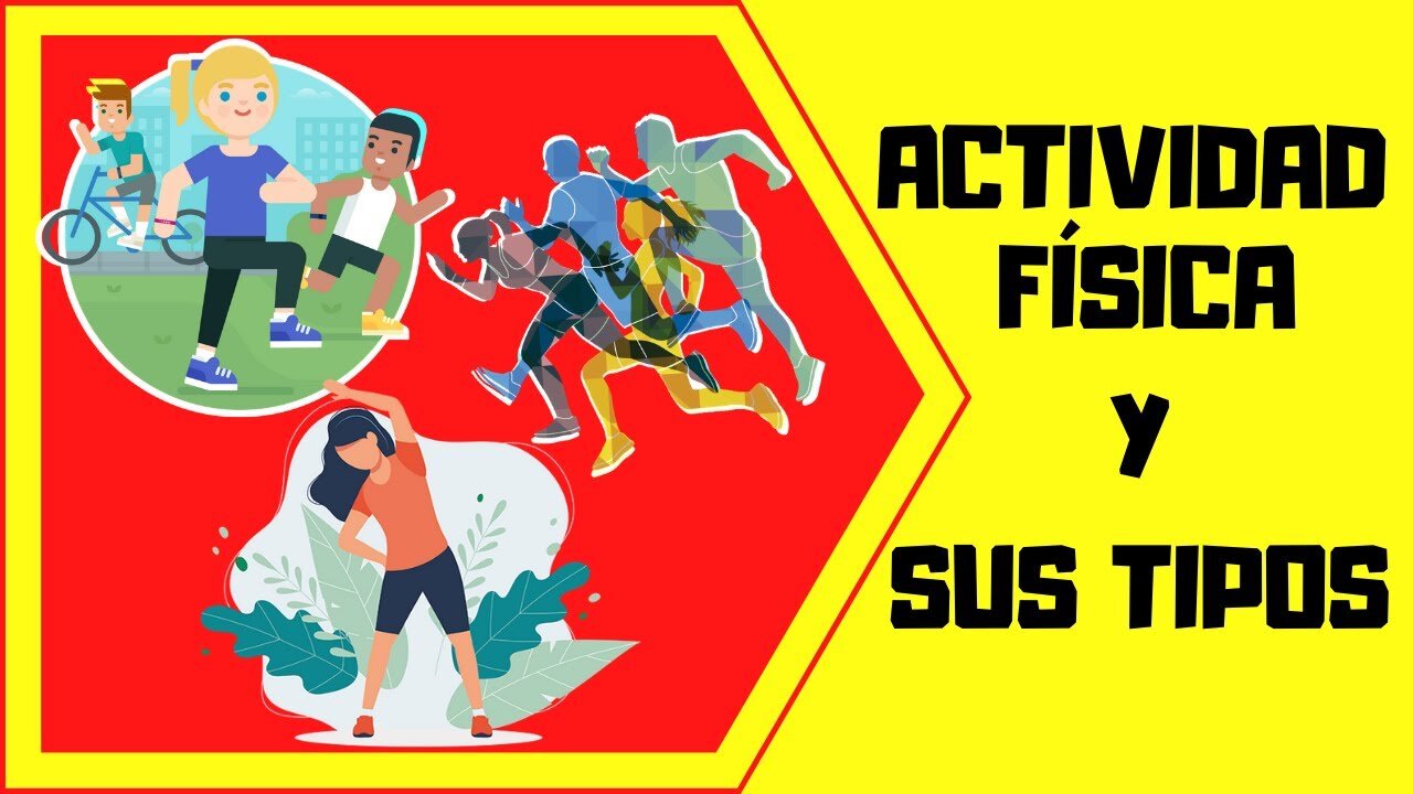¿Cuáles son los 4 tipos de actividad física?