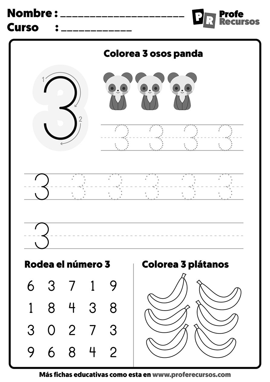 Paso 1: Identificación del número